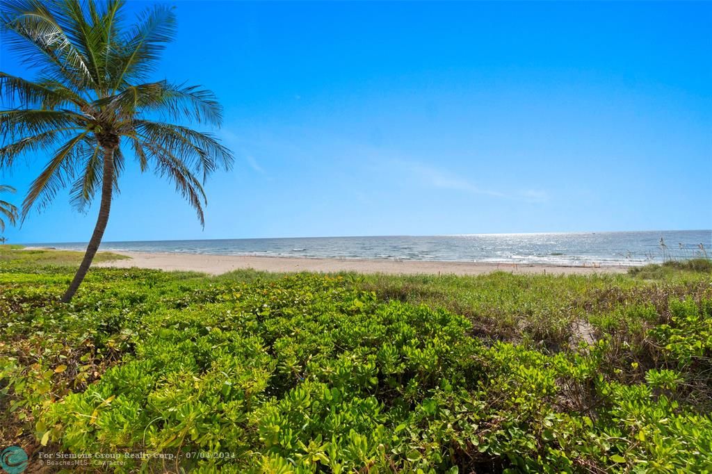 OCEAN VIEW