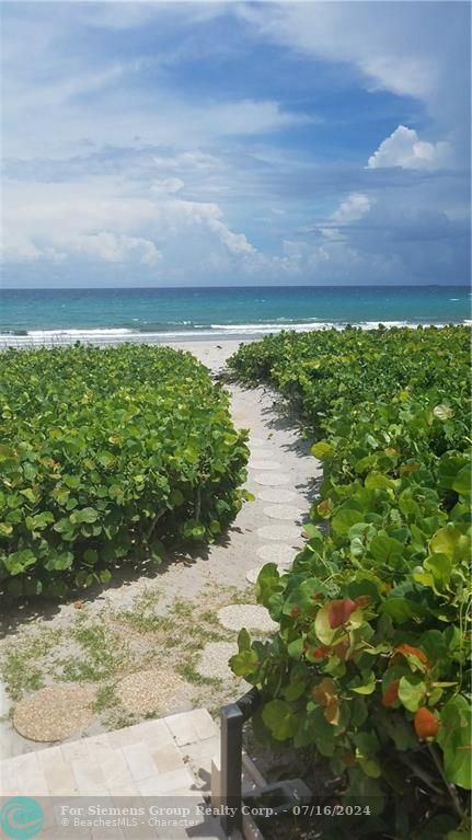 Walkway to Beach